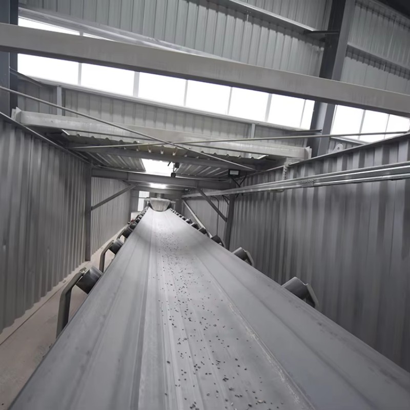 Роликовый ленточный конвейер (6)