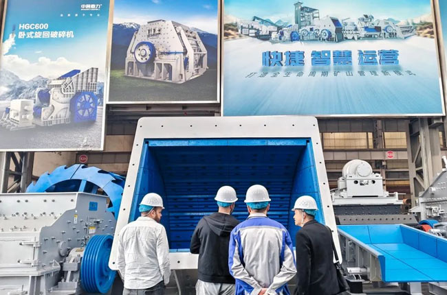 Клиенты из Индии, Египта и Сирии посетили интеллектуальный производственный комплекс111 (3)